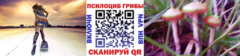 Псилоцибиновые грибы GOLDEN TEACHER  мега рабочий сайт  Кореновск 